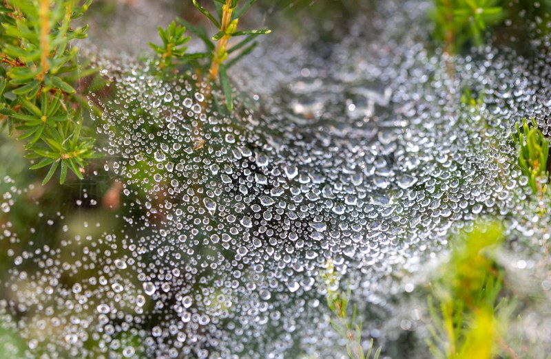 Nebulizzatore-da-giardino